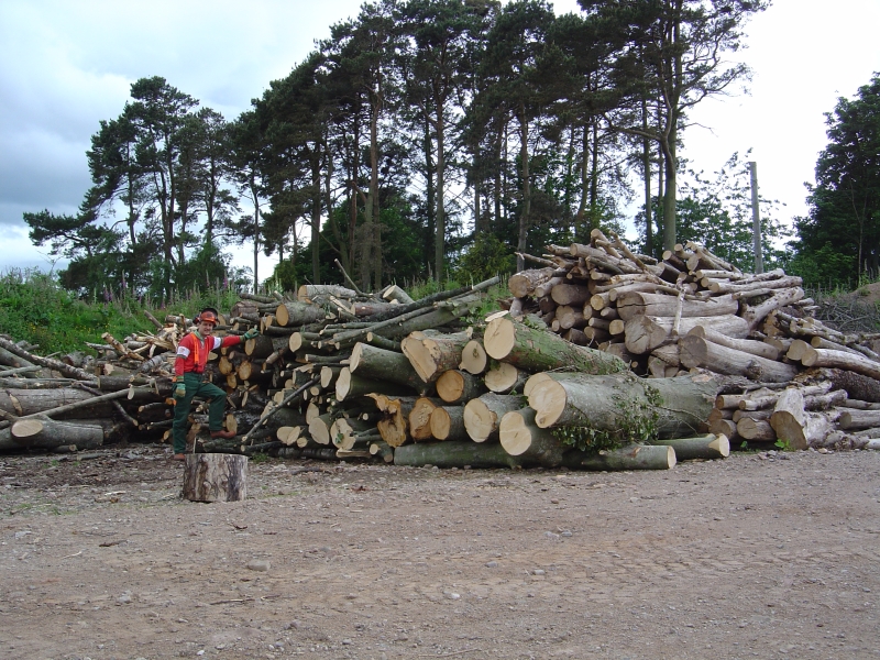 14th June 2008 024